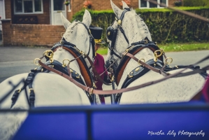 julie-rennie-wedding-194