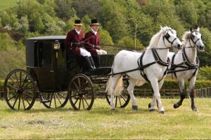 Brougham - Intimate Enclosed Wedding Carriage