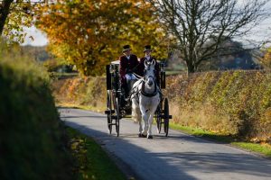 Wellington Carriage Company News