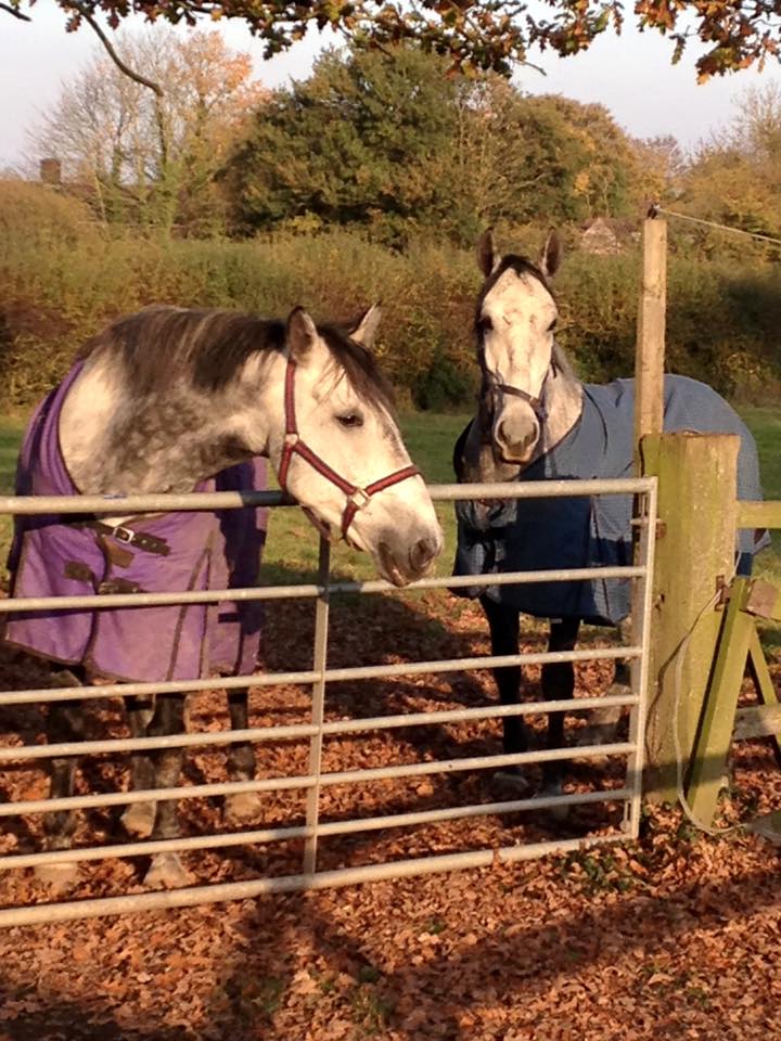 Breeze and Marble