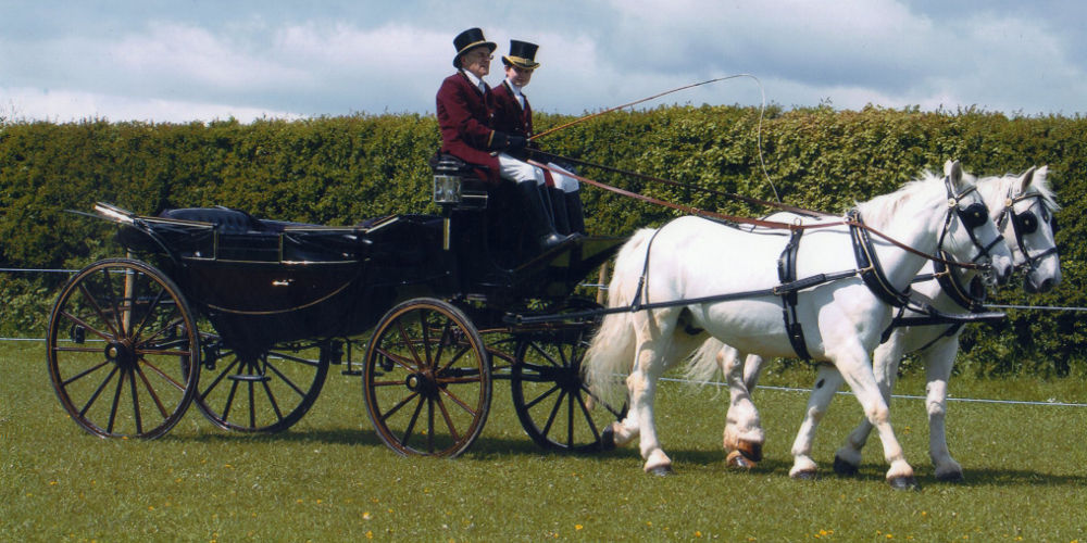 Horse Drawn Wedding Carriages