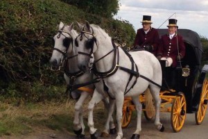 Wellington Carriage Company News